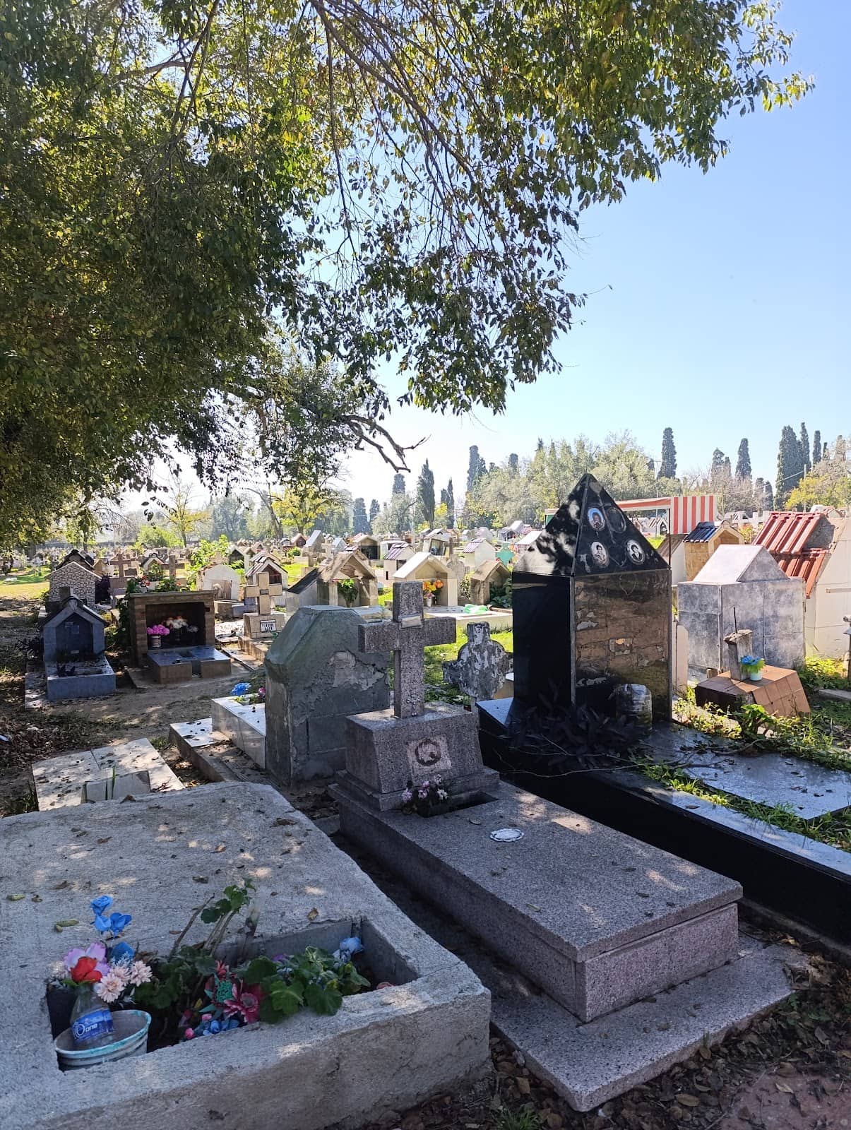 Remembrance of the Disappeared