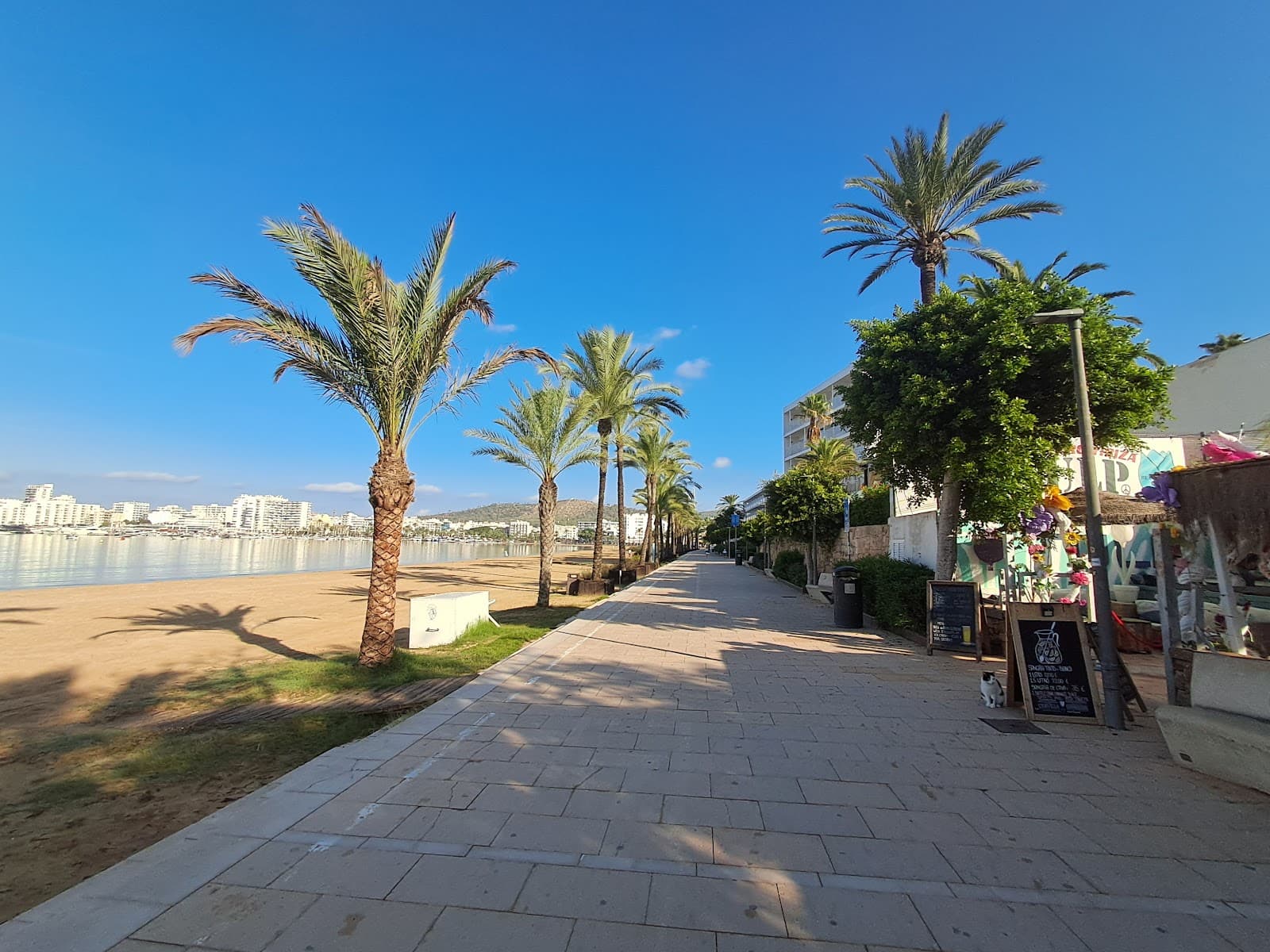 S'Arenal Beach San Antonio Ibiza - Image 1