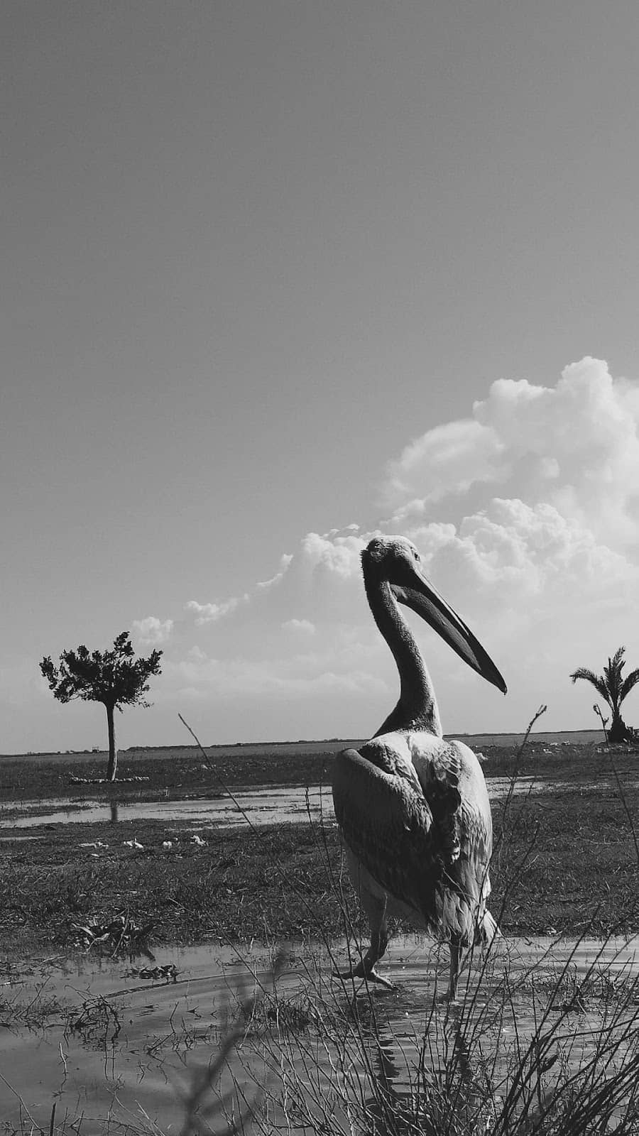 Unique Delta Landscape