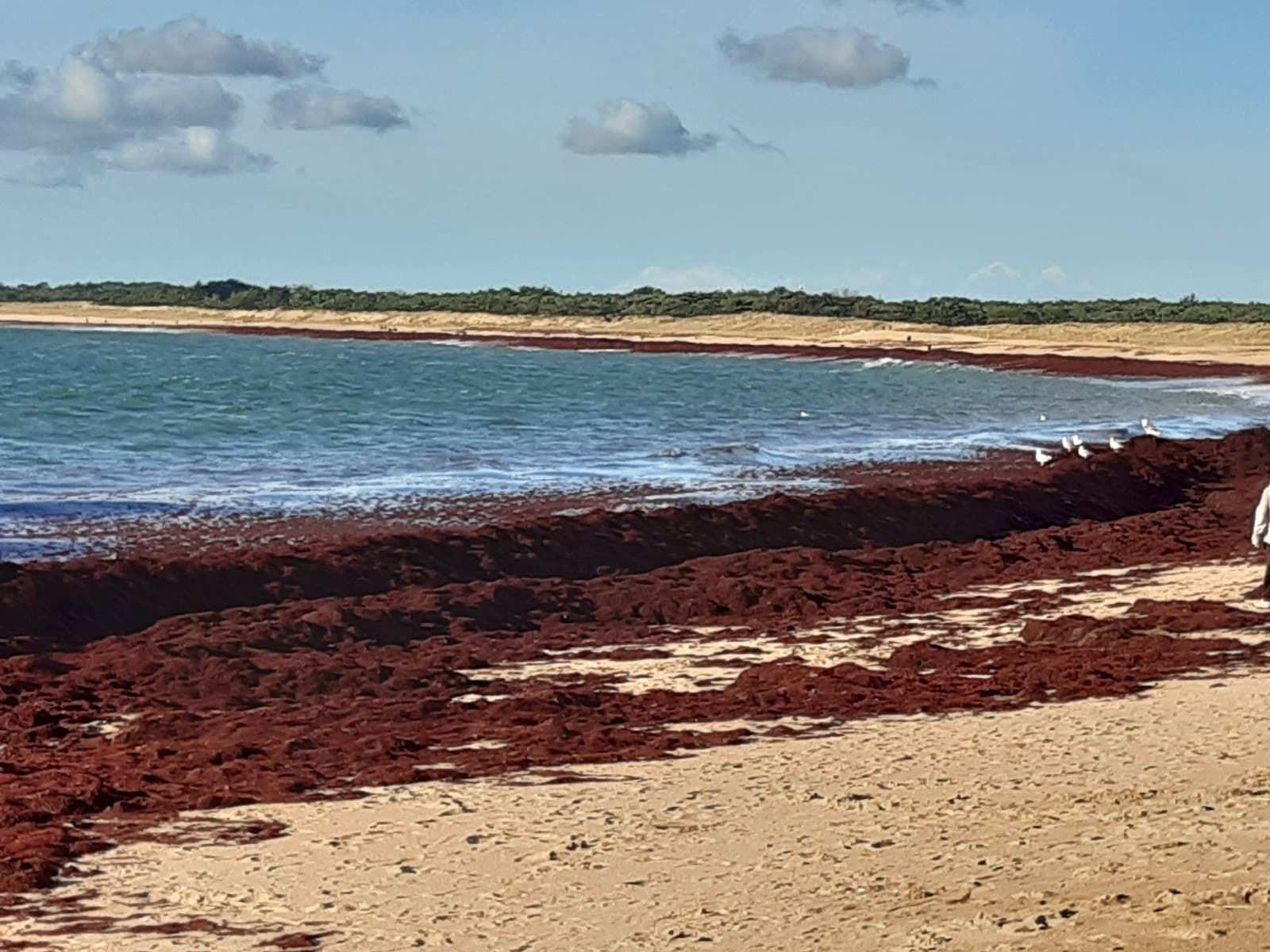 Sion-sur-l’Océan - Image 1