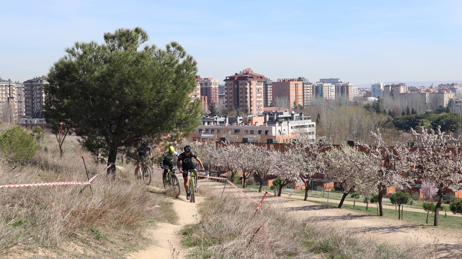 Outdoor Fitness Zone