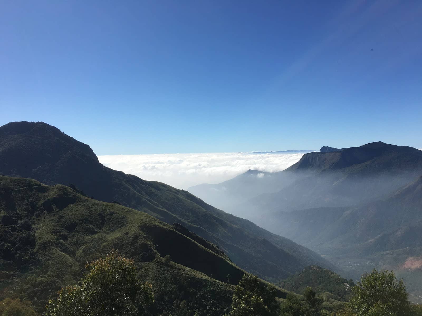 Local Flavors and Crafts