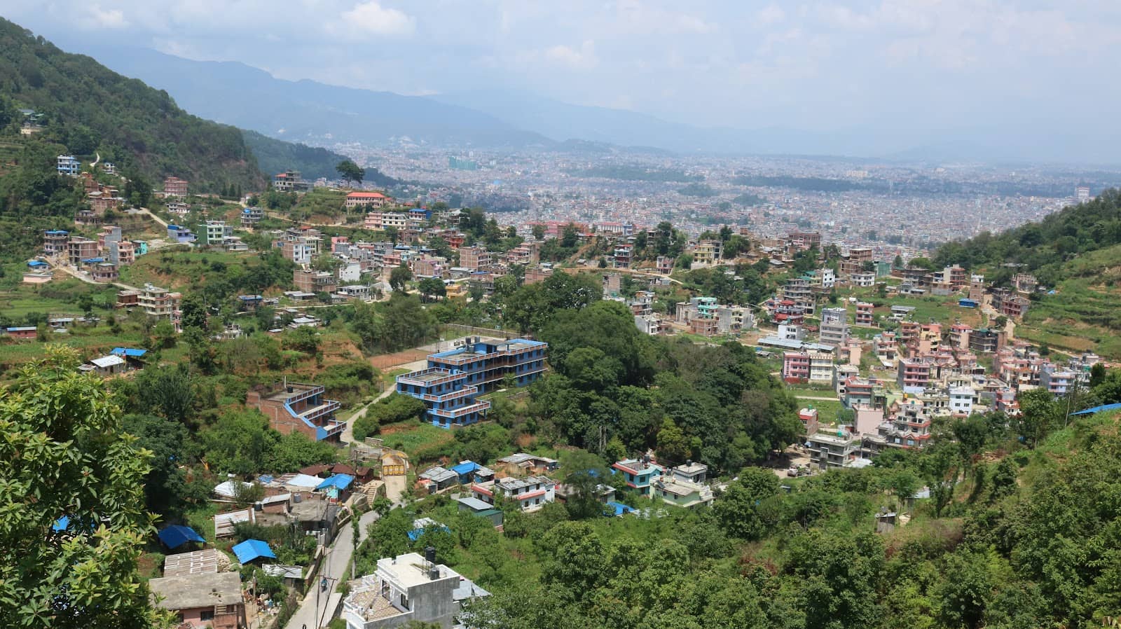 Pine Forest Hiking Trails