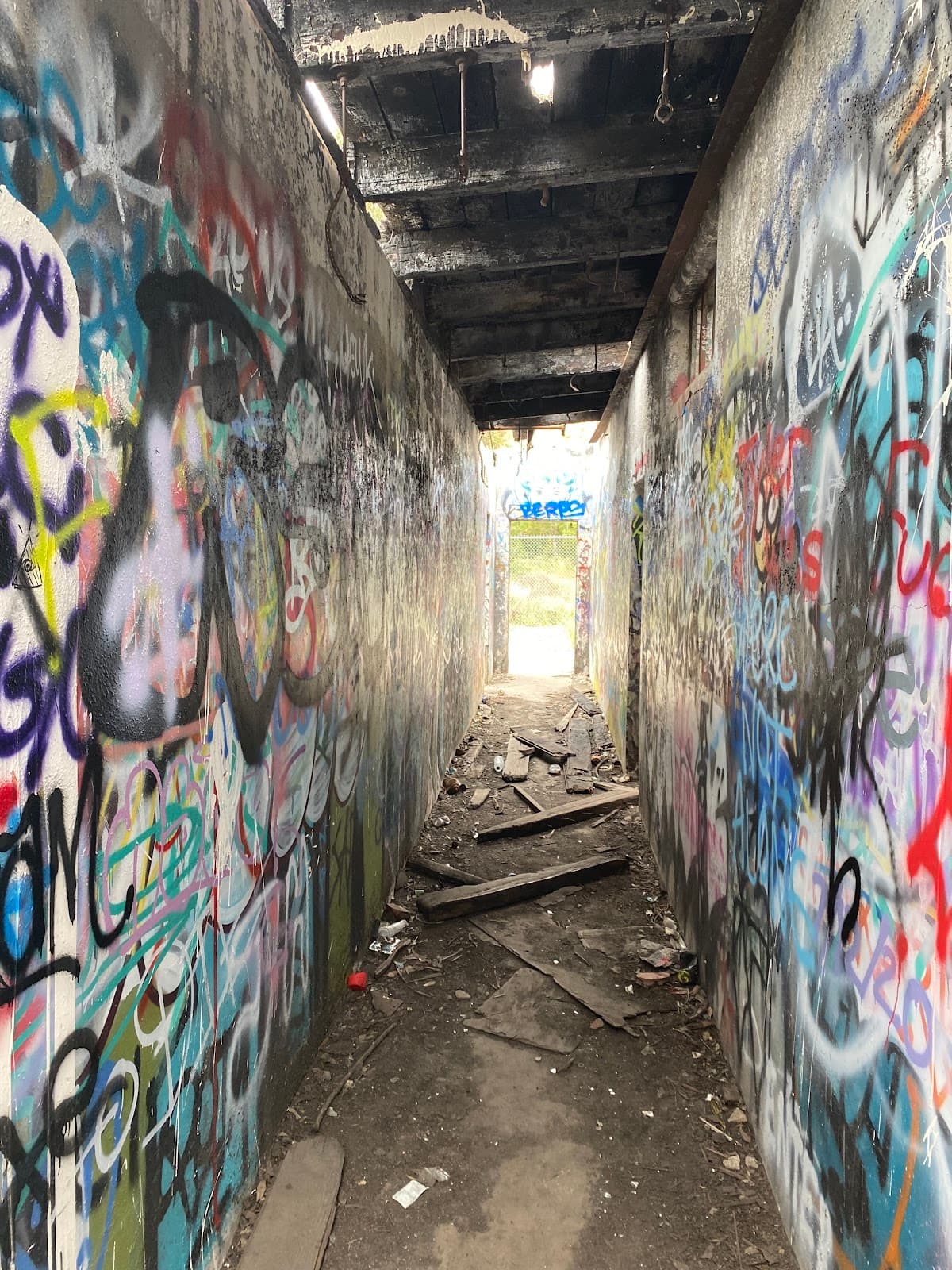 Scary Dairy - Image 1