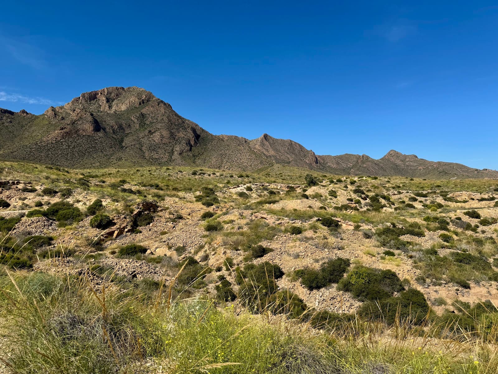 Las Moreras Wetland - Image 1