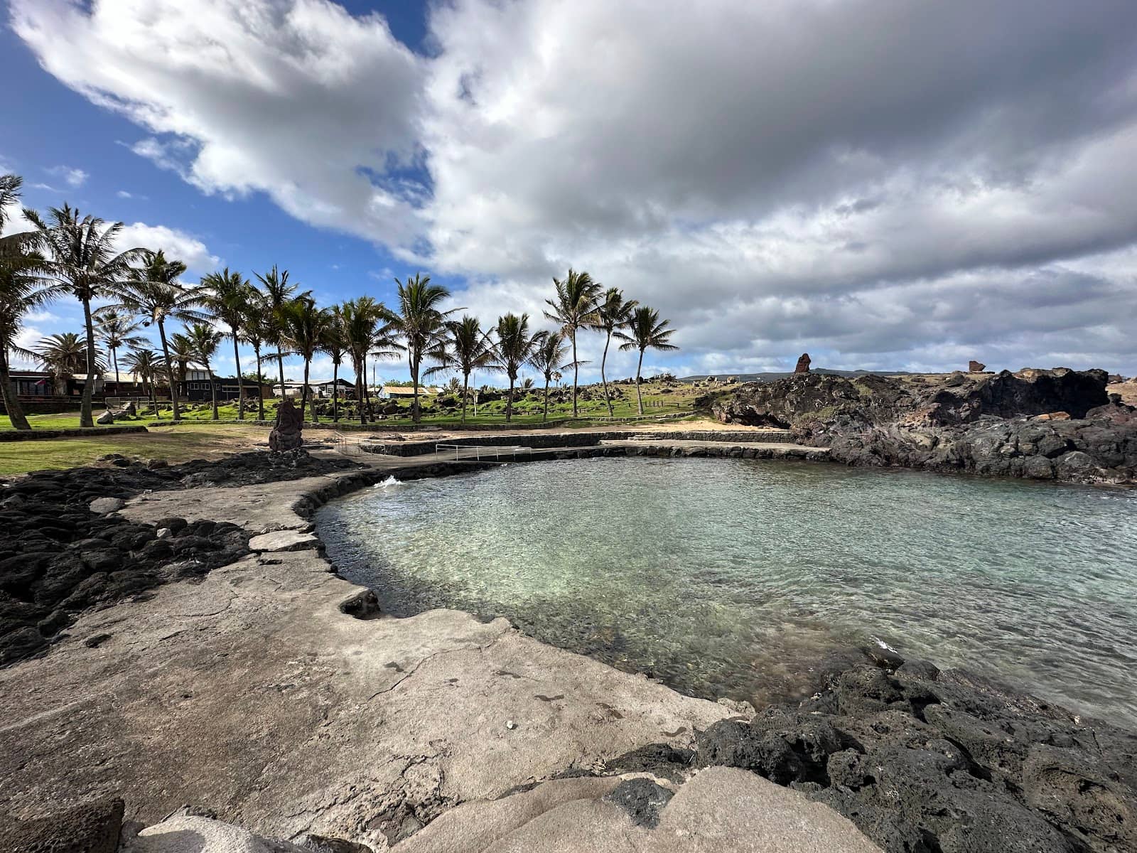 Palm Tree Relaxation