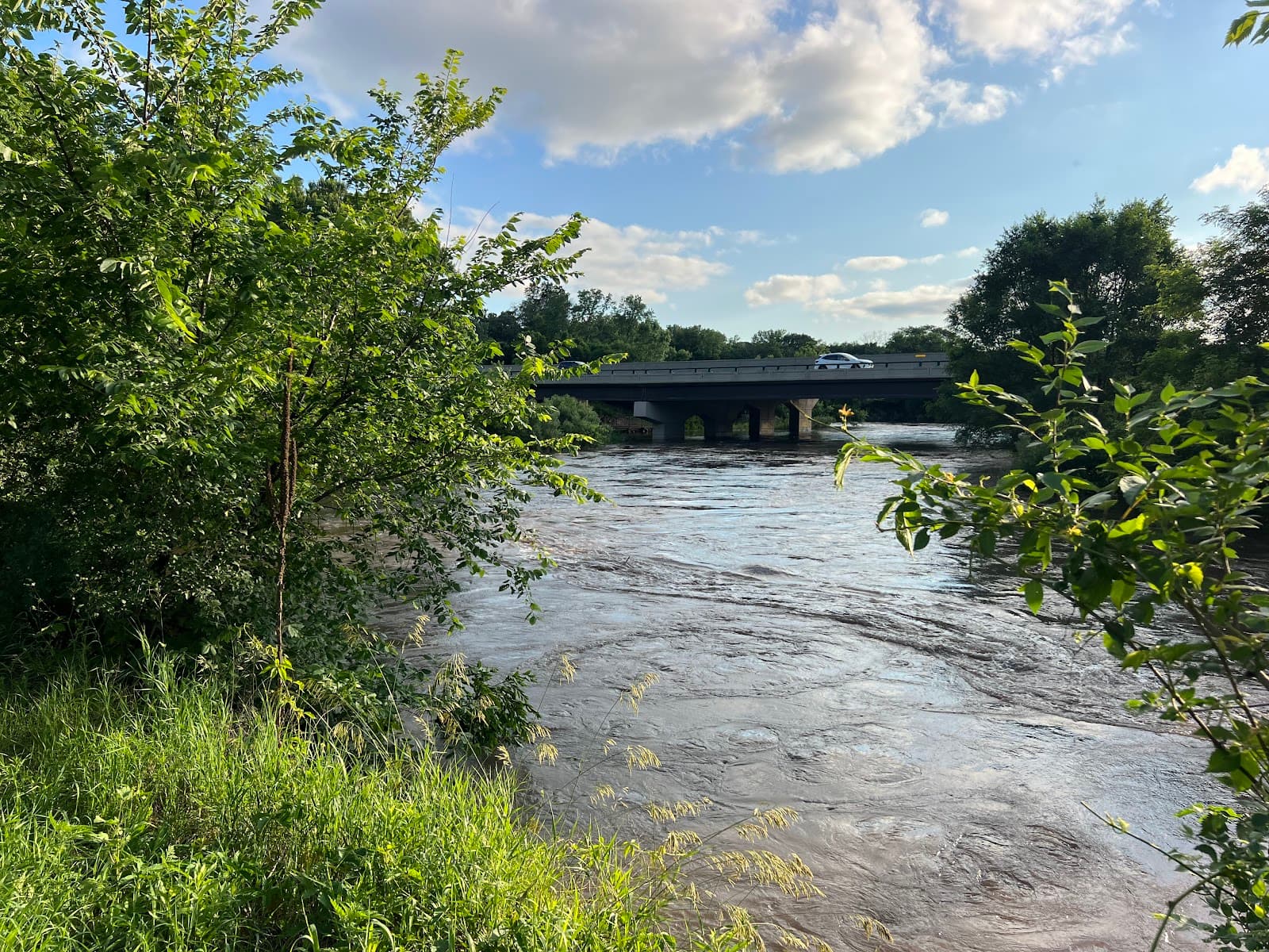 Zumbro Riverwalk & Mayo Park - Image 1