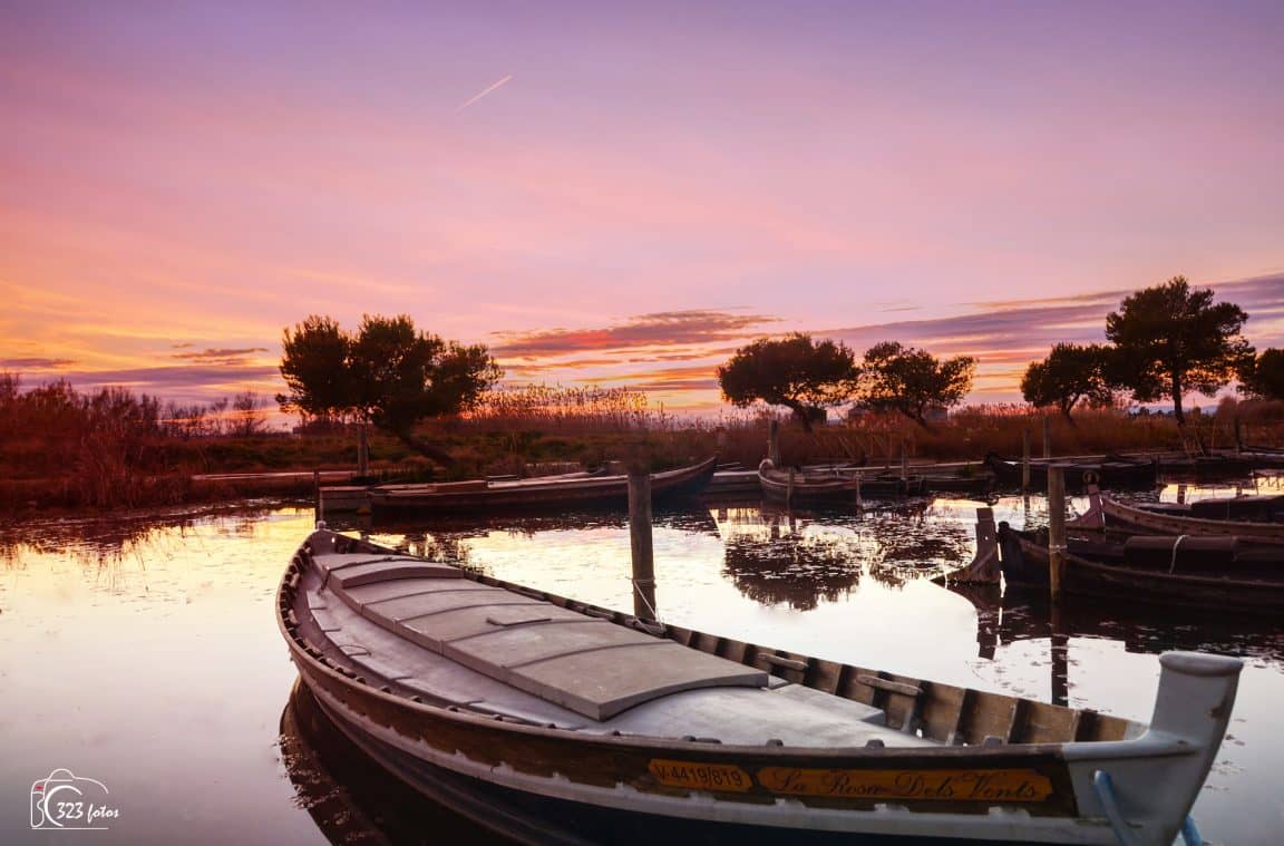 Local Eatery Delights