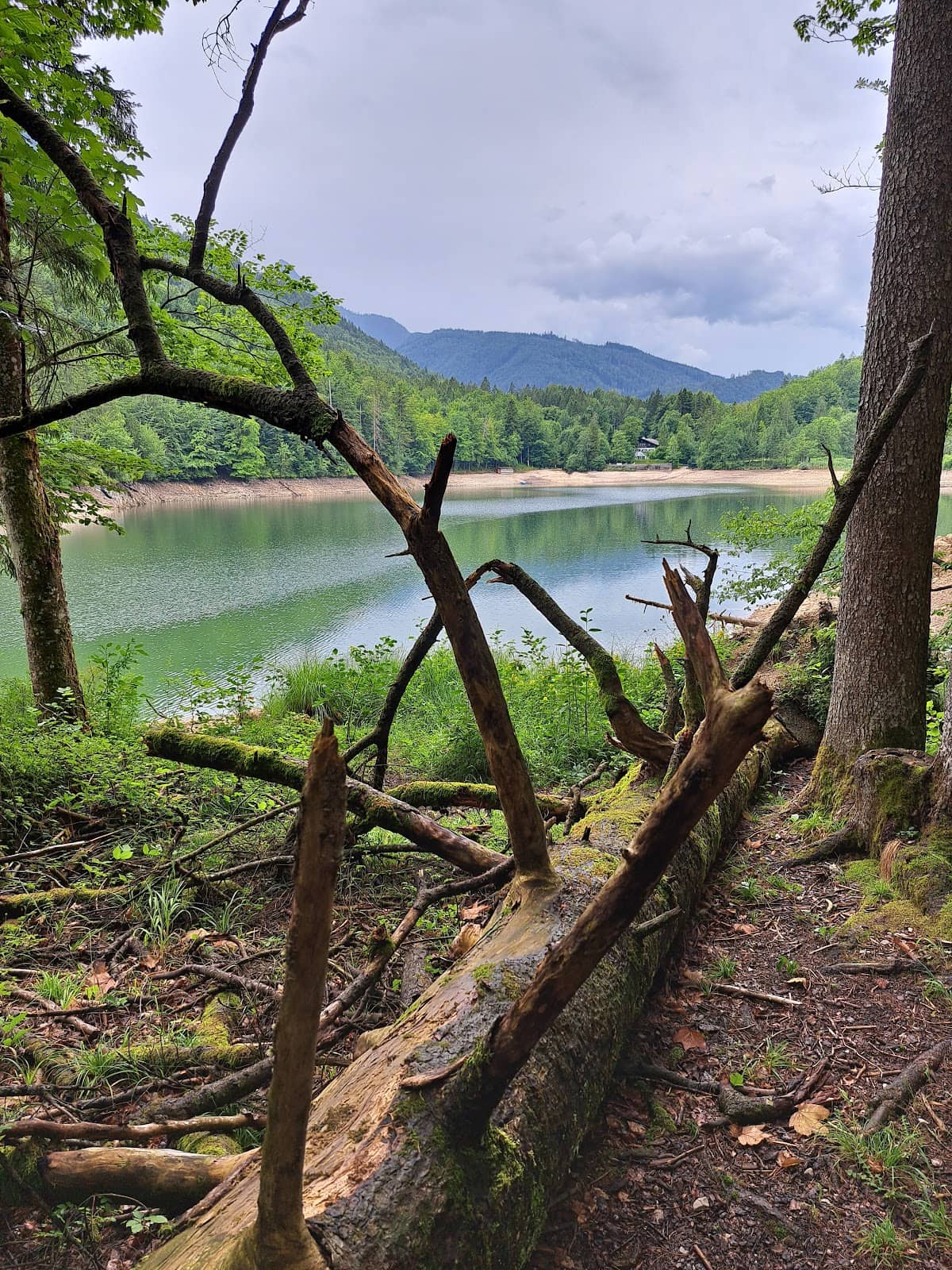 Fishing Opportunities