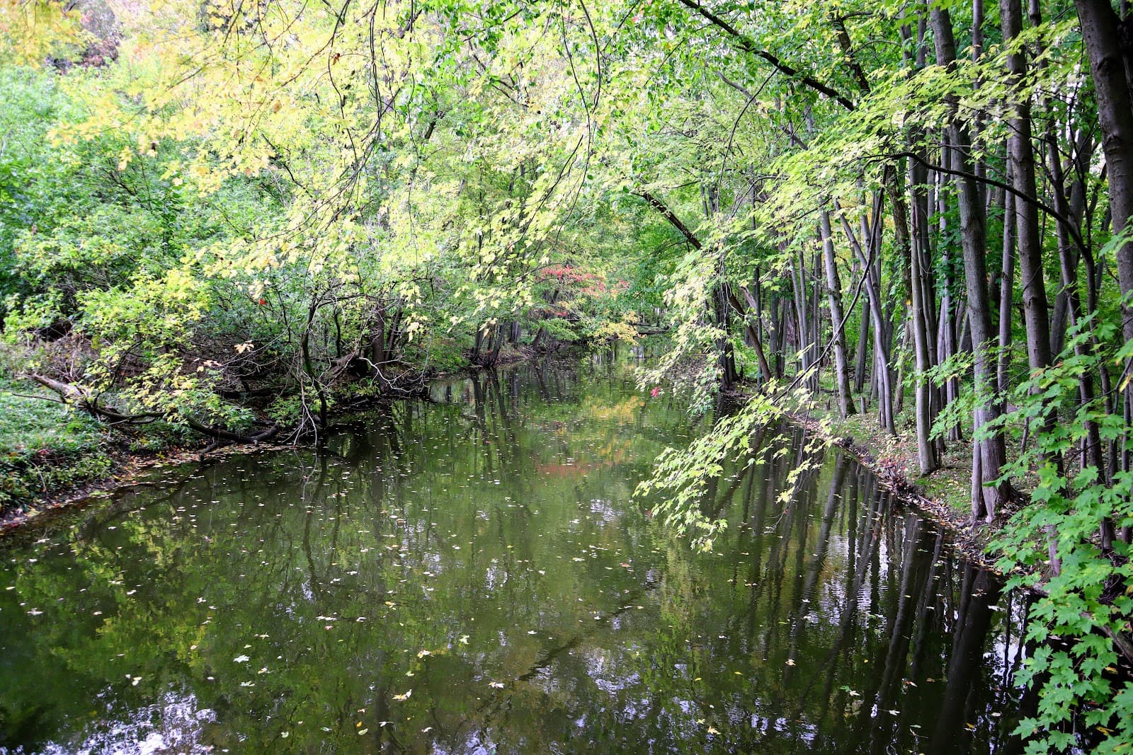 TJ Dolan Natural Area - Image 1