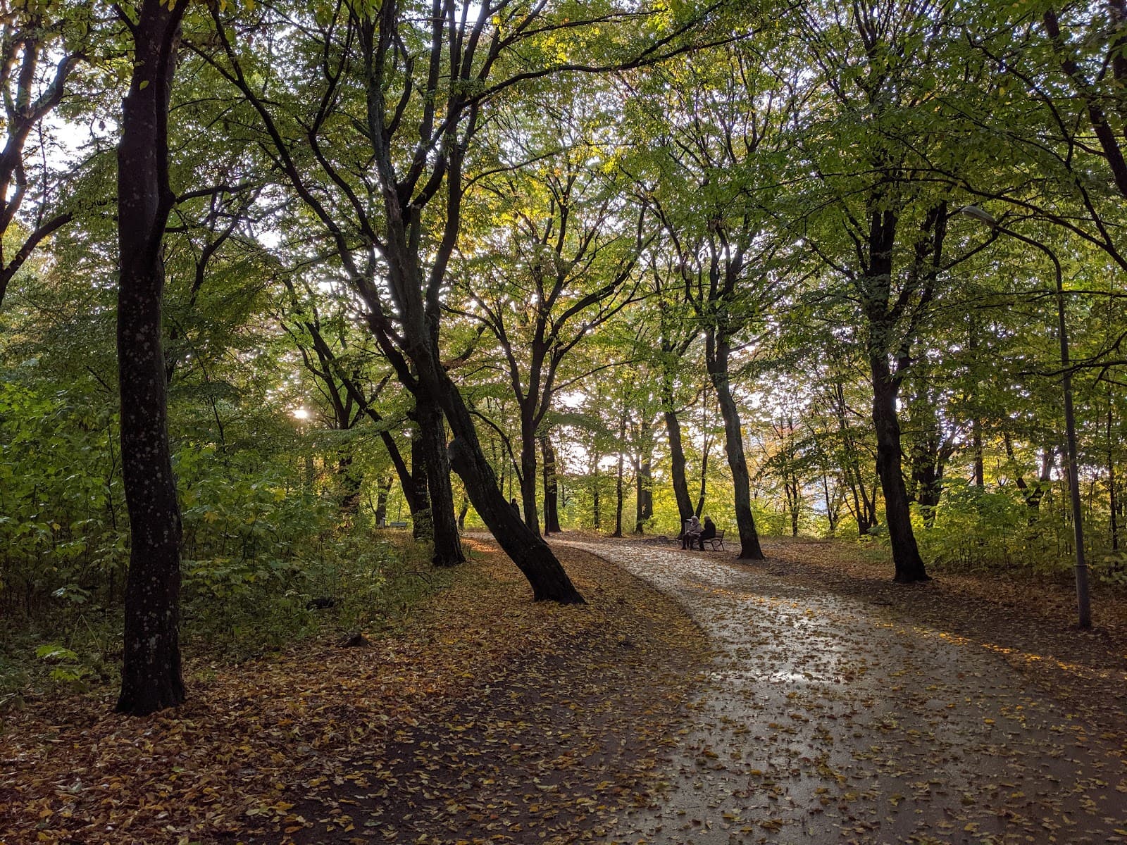 Rumlevsky Park - Image 1