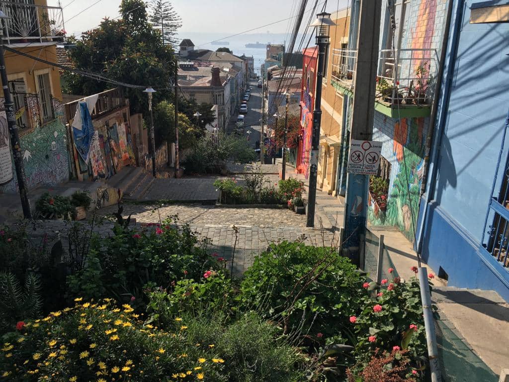 La Pataleta Bookstore's Charm