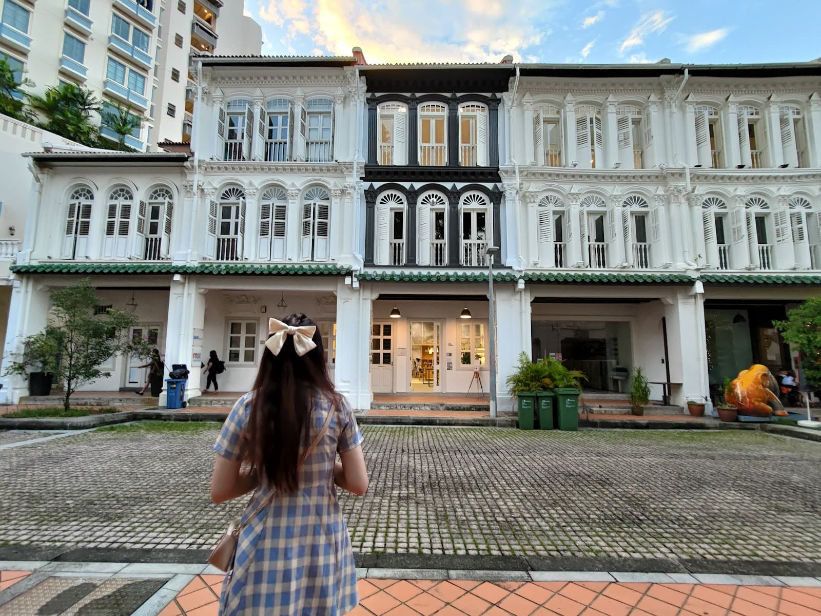 Duxton Hill - Image 1