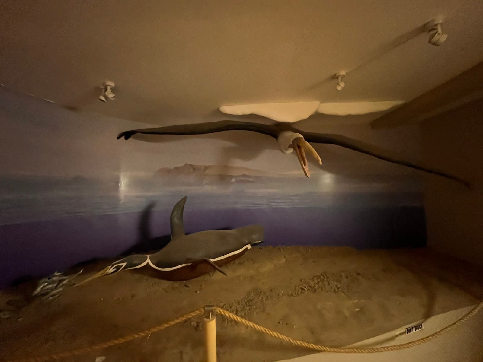 Paracas Interpretation Center - Image 1