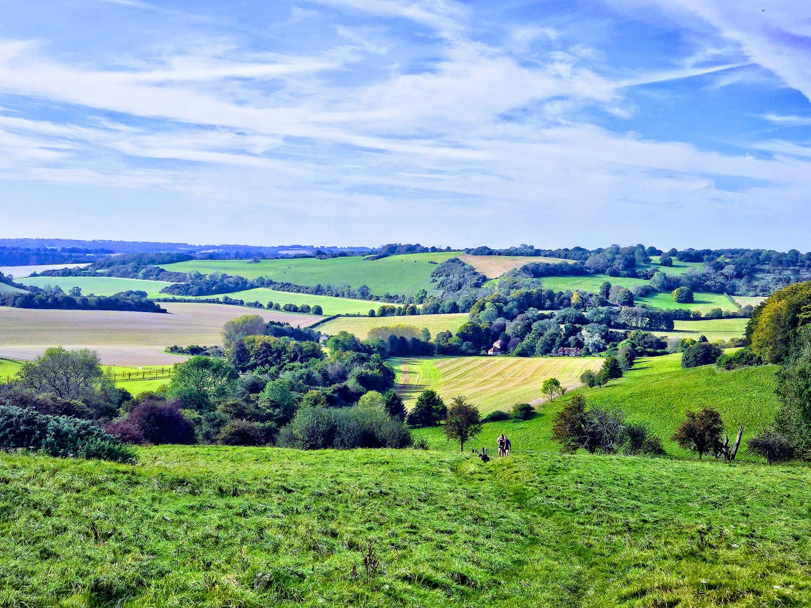 North Wessex Downs AONB - Image 1