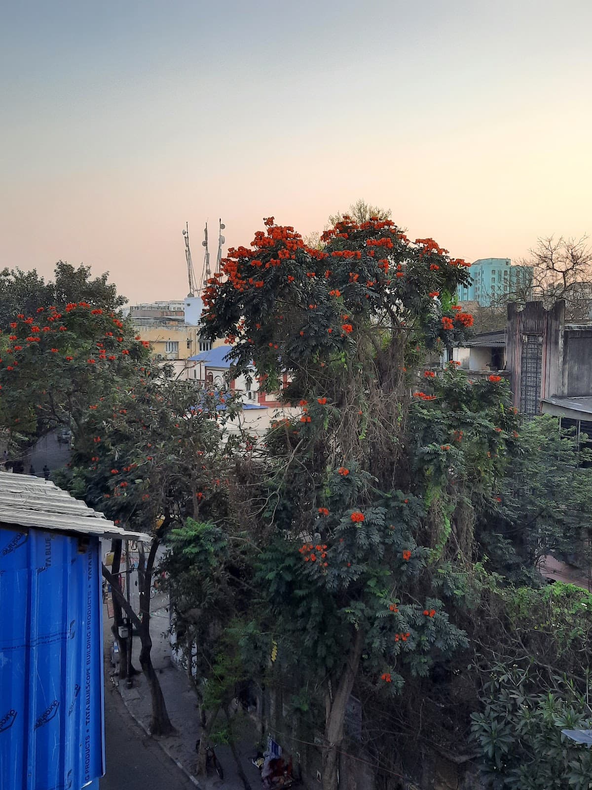 Ballygunge Kolkata - Image 1
