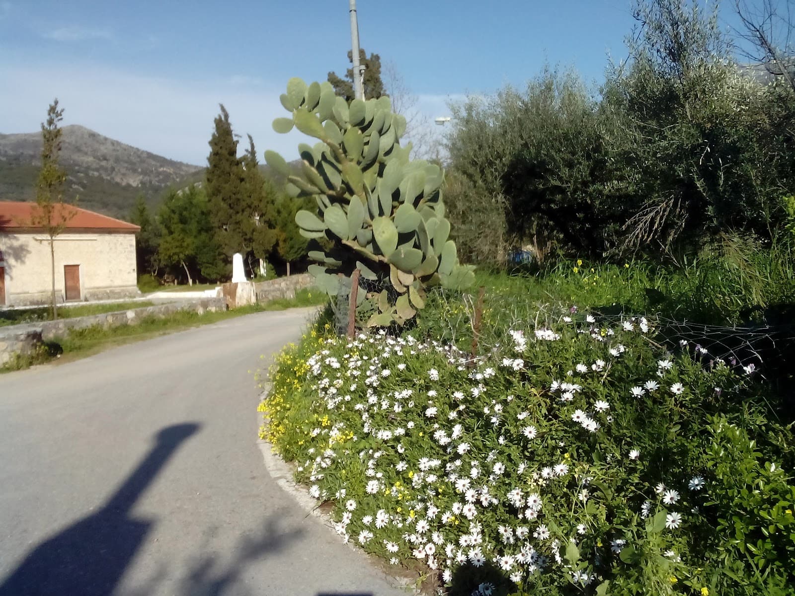 Avdou Crete - Image 1