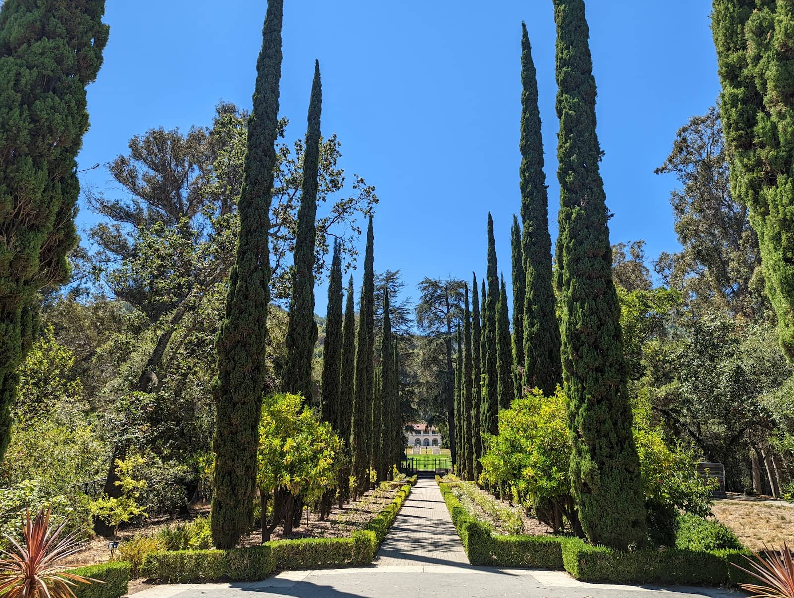 Sculpture Garden Stroll
