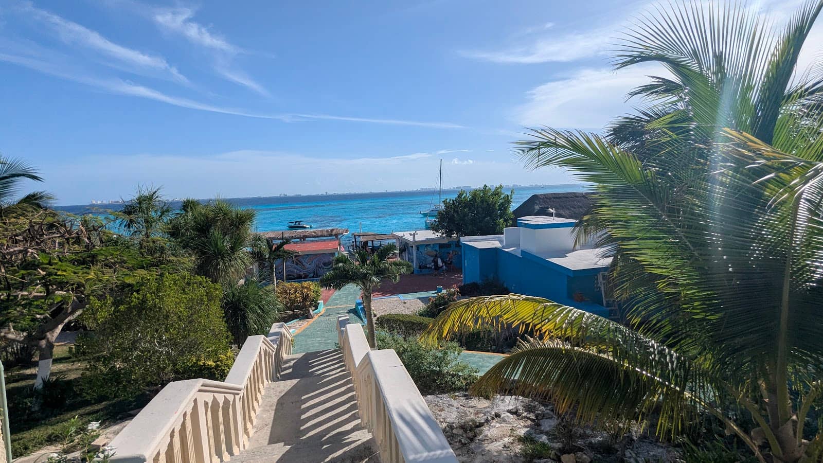 Delicious Tropical Drinks