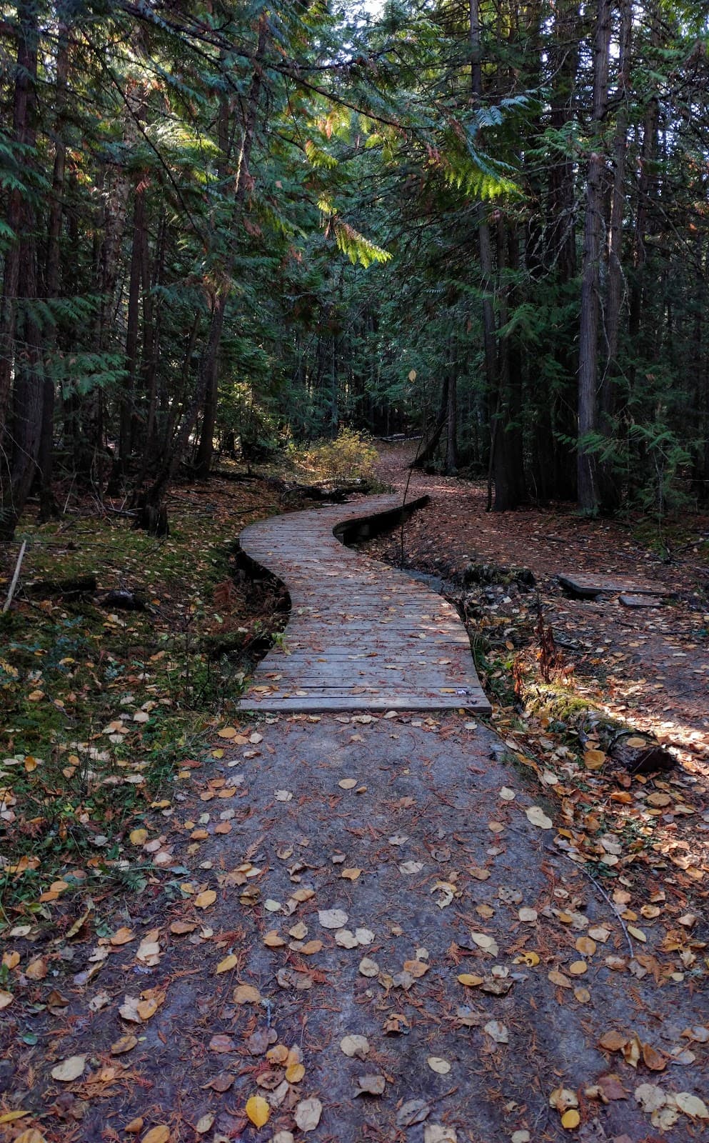 Park Hill Trails - Image 1