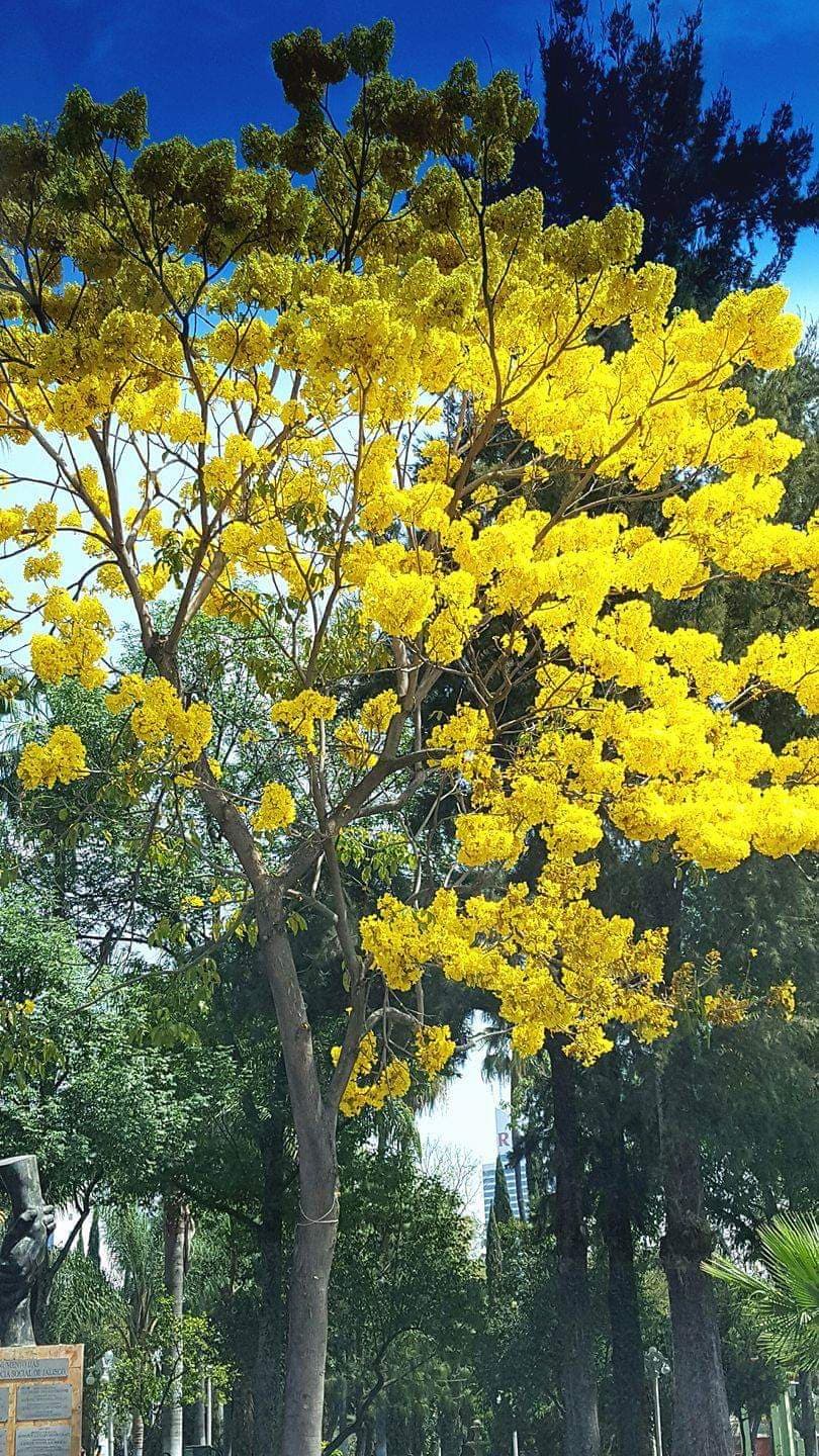 Ciudad Granja - Image 1