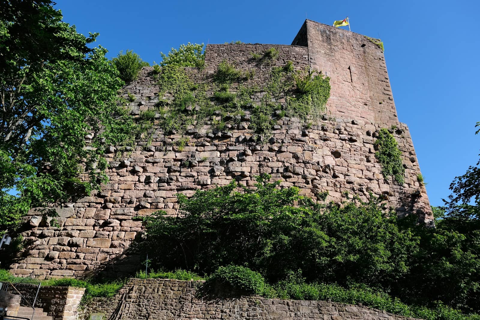 Scenic Hiking Trails