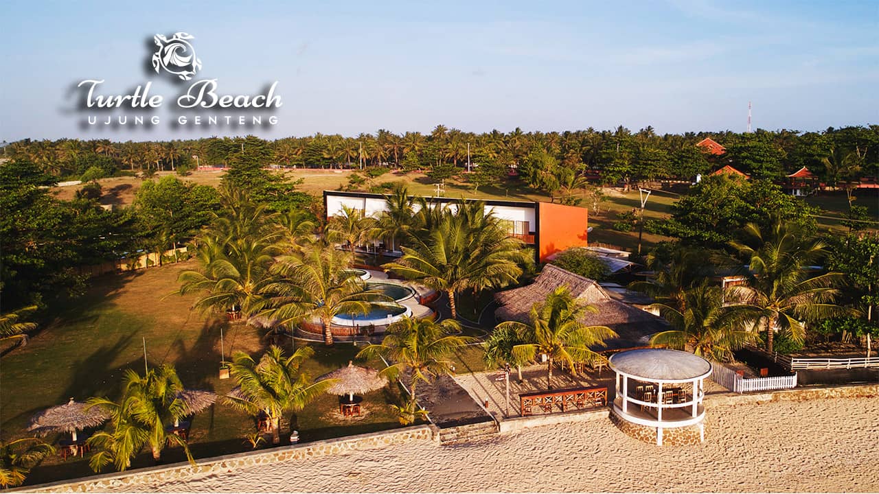 Rustic Beachfront Dining