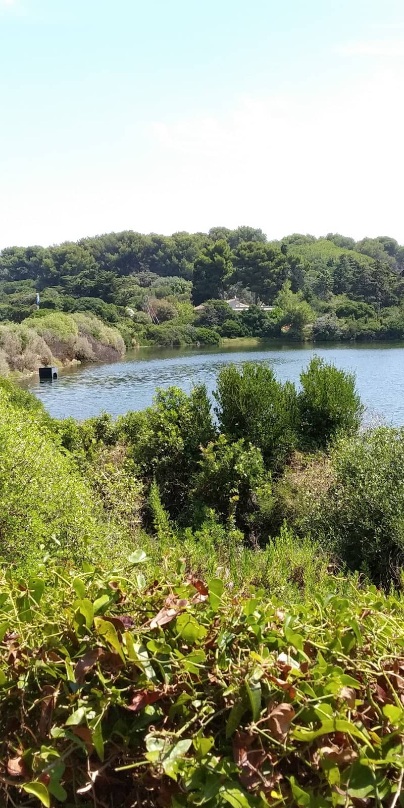 Wooden Viewing Pontoon
