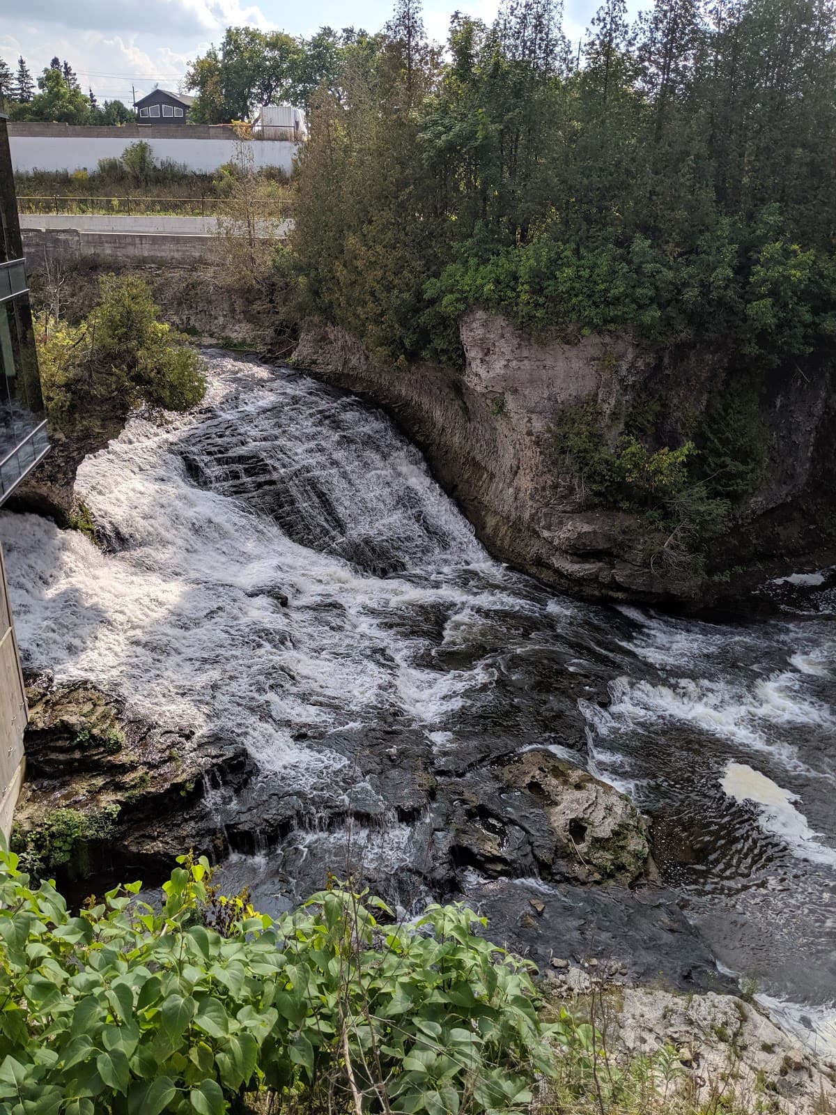 Tooth of Time - Image 1