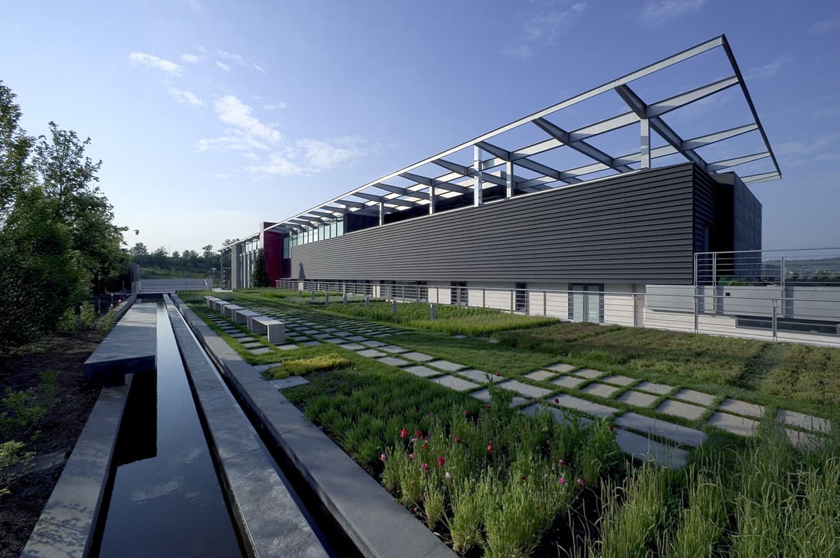 Feudi di San Gregorio Winery (Sorbo Serpico) - Image 1