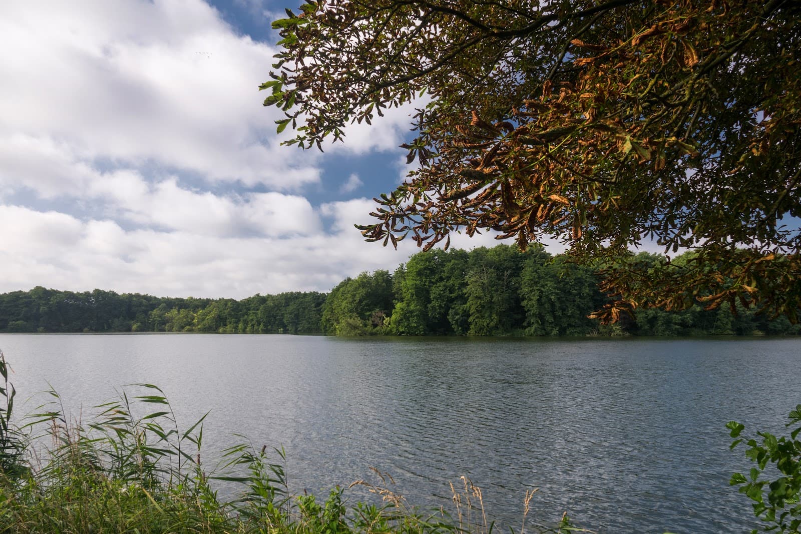 Wall Promenade & Mühlenteich - Image 1