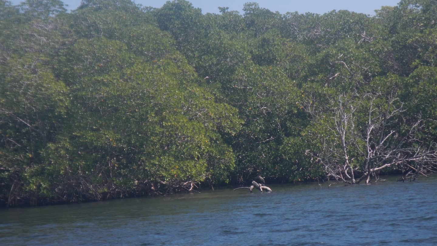 Scenic Boat Excursions