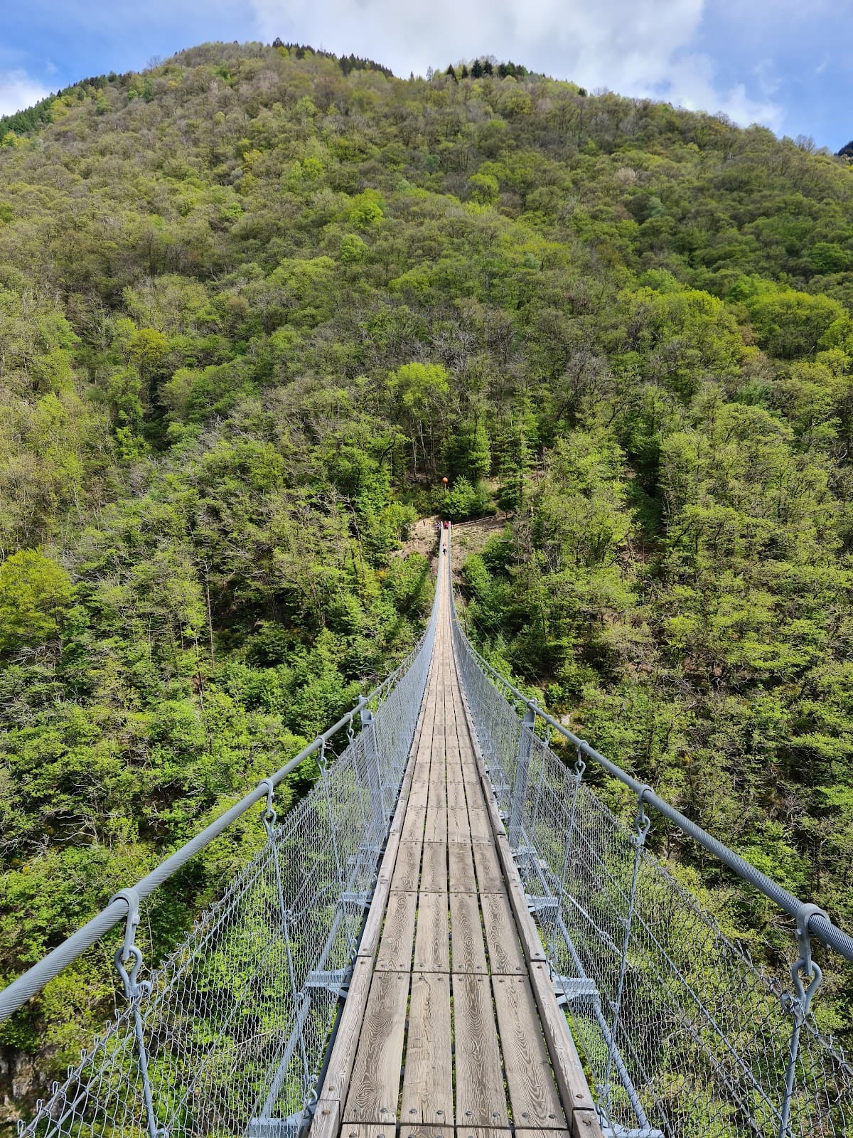 Carasc Tibetan Bridge - Image 1