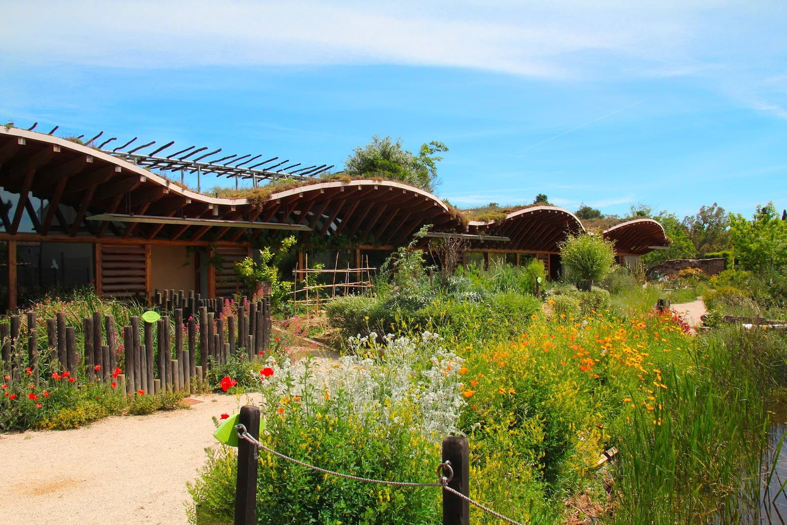 Naturoptère - Image 1