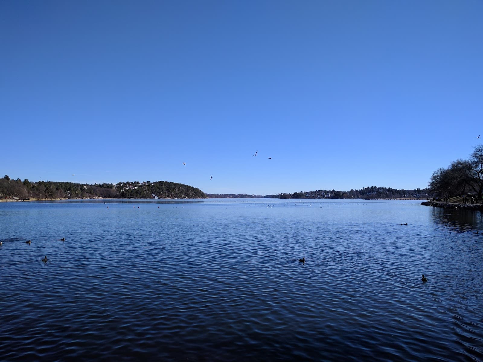 Edsviken Waterfront - Image 1