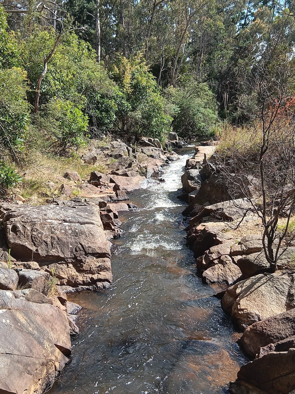 Yackandandah Historic Township - Image 1