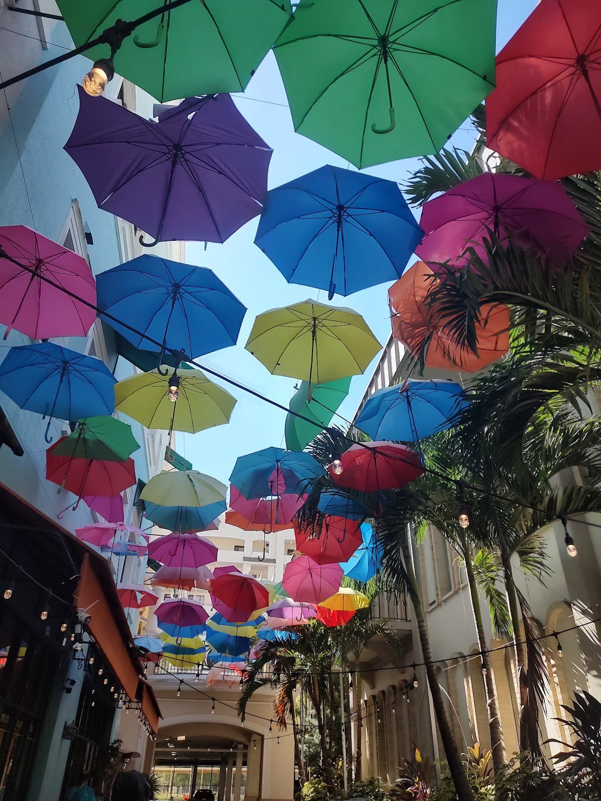 Historic Downtown Kissimmee - Image 1