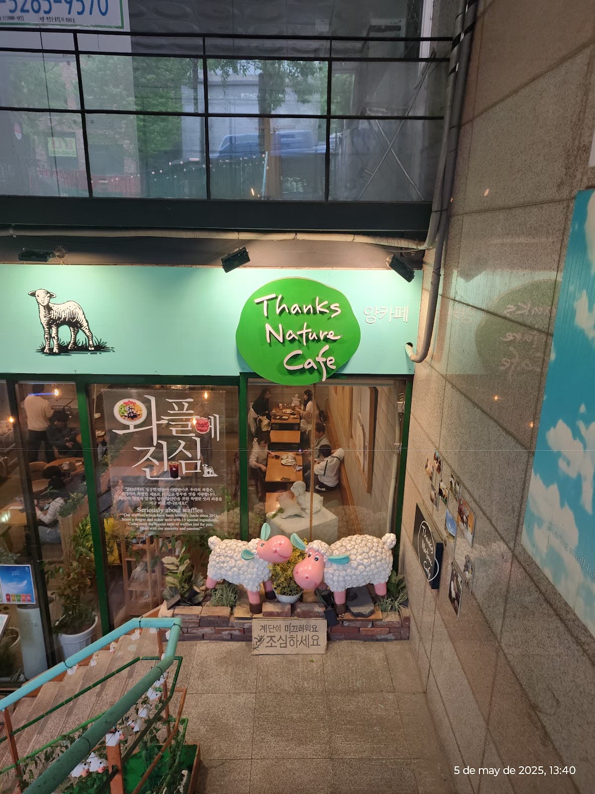 Various Pet Cafes (e.g., Thanks Nature Cafe) - Image 1
