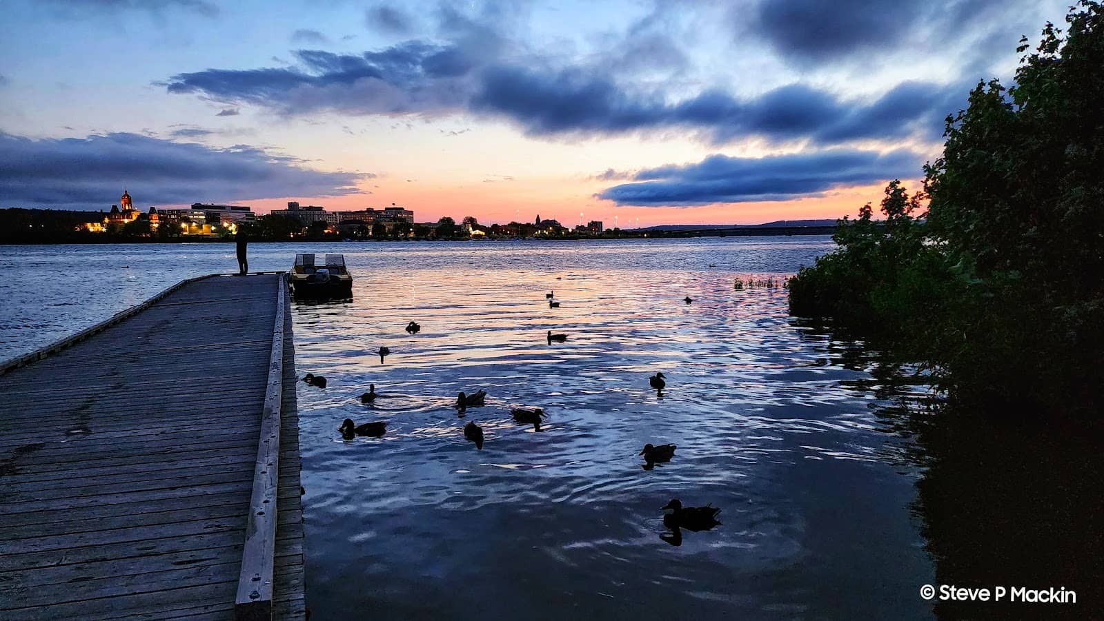 Holiday Light Displays