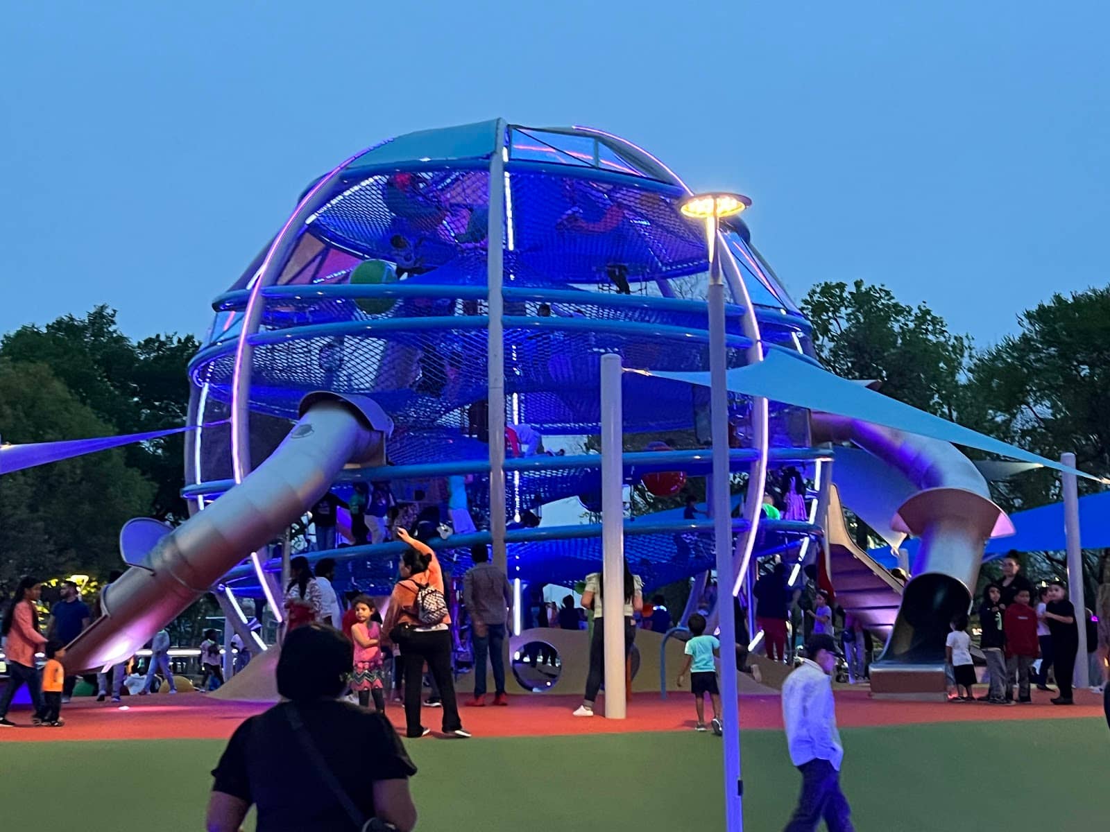 The Thrilling Zip Line