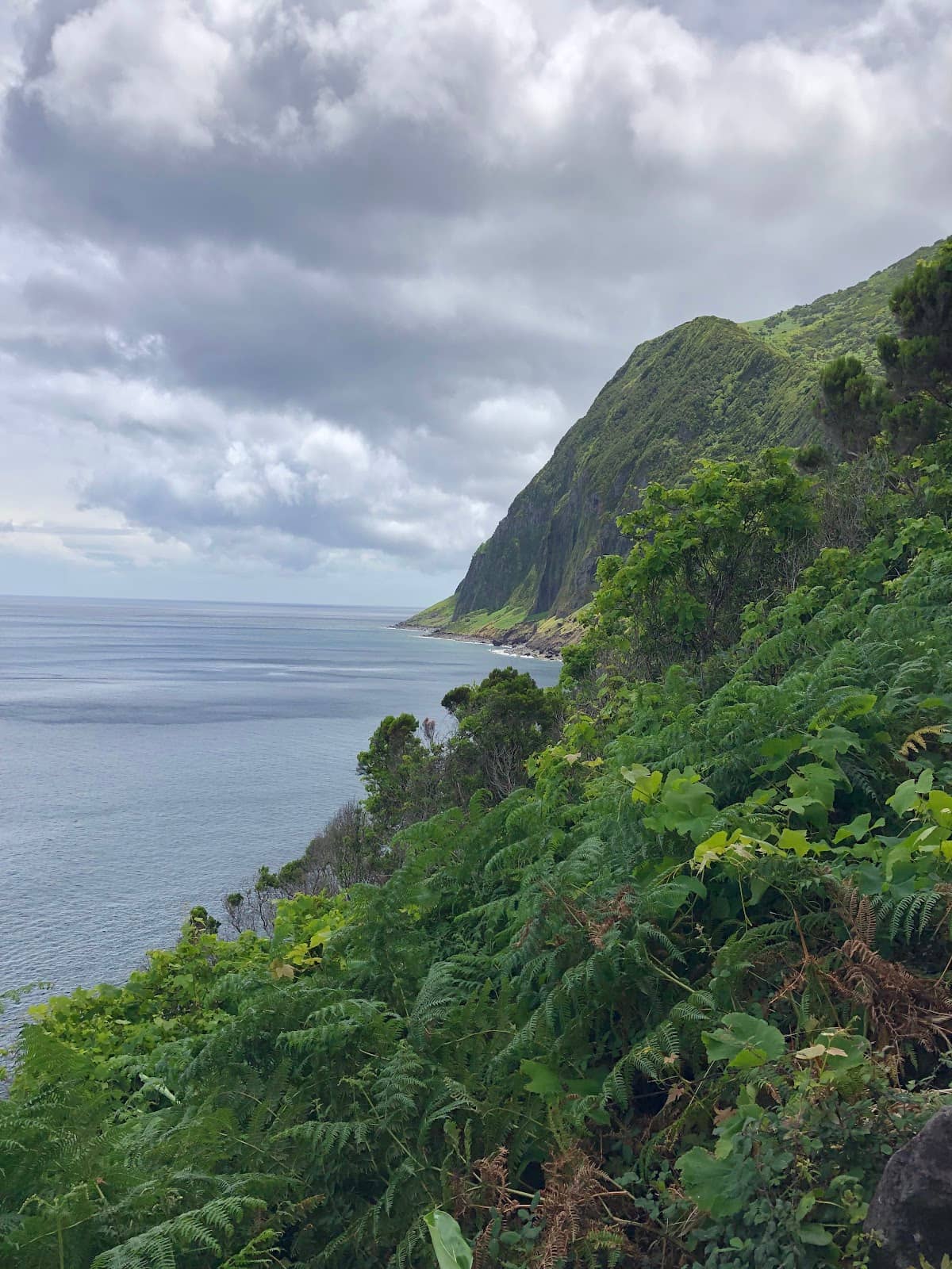 Portinho Fajã Grande