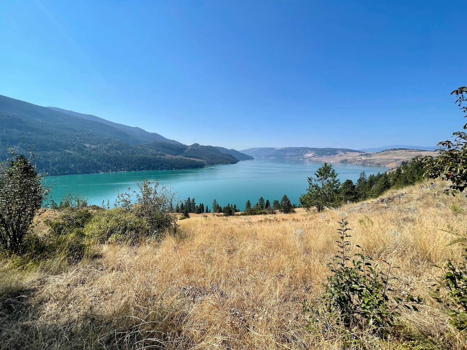 Cosens Bay Beach - Image 1