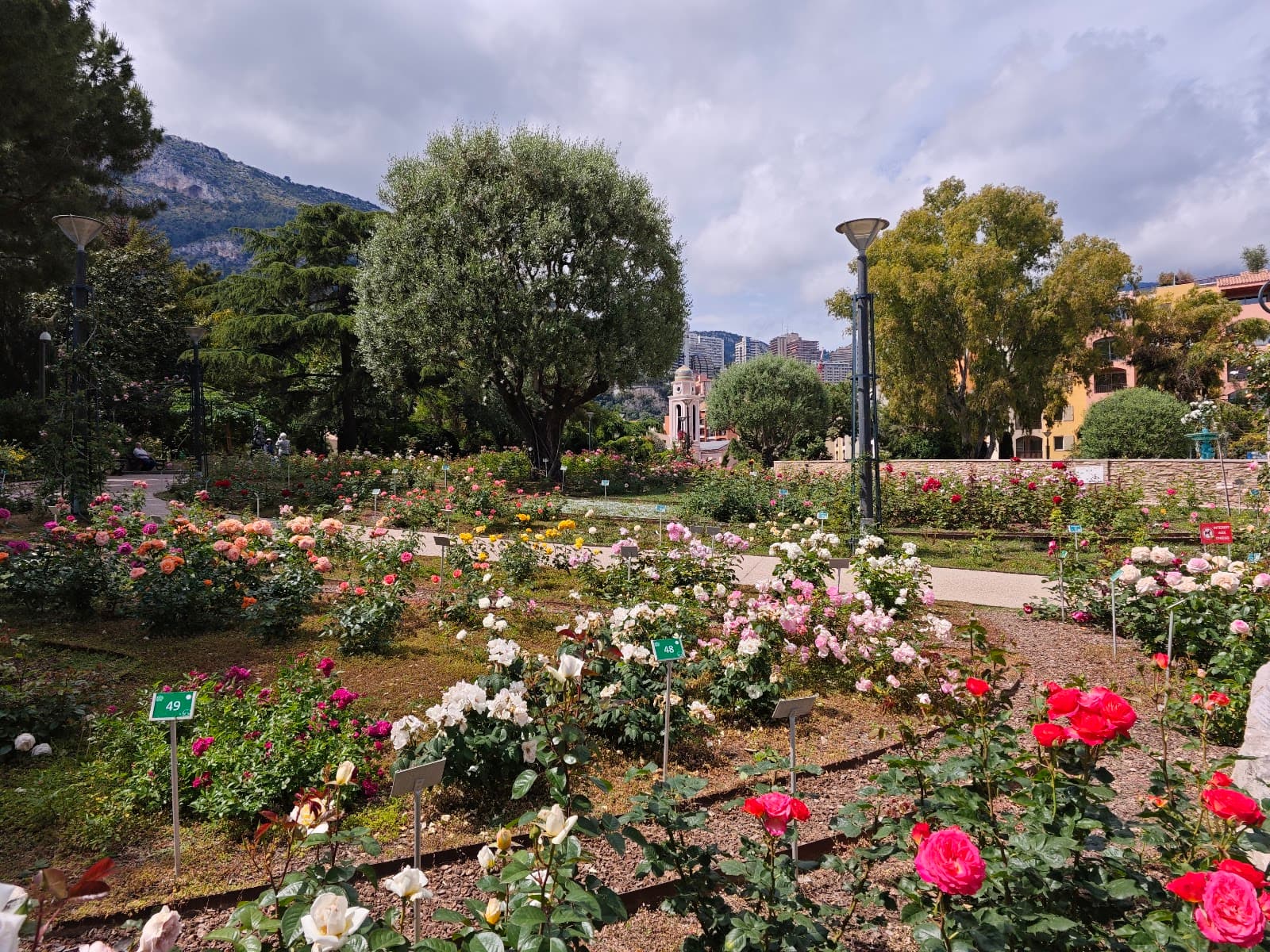 Princess Grace Rose Garden - Image 1