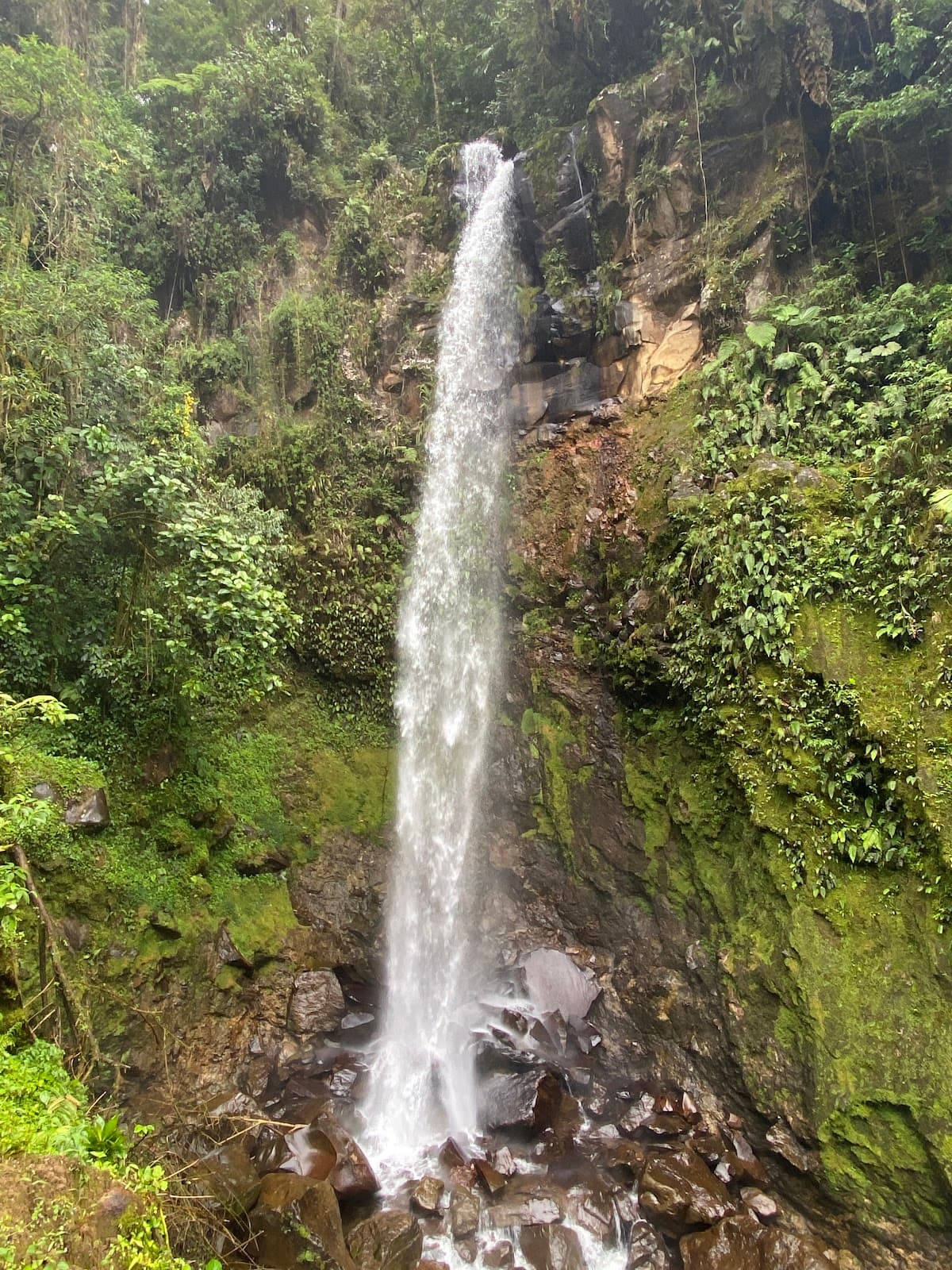 Lost Waterfalls Boquete - Image 1