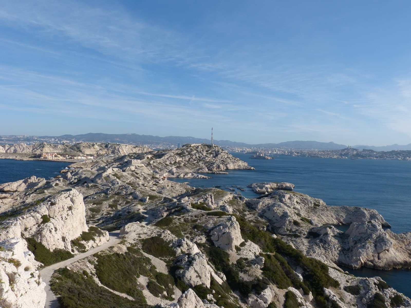 Gull Nesting Spectacle