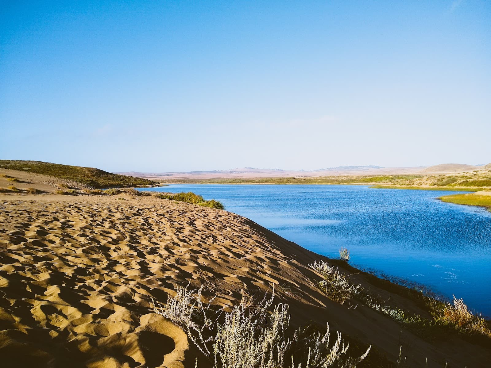 Abbotts Lagoon - Image 1