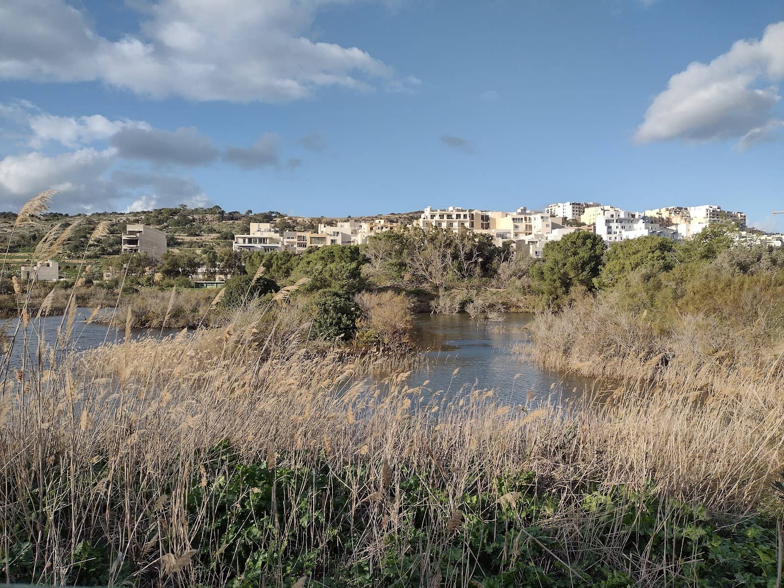Flora and Fauna Signage