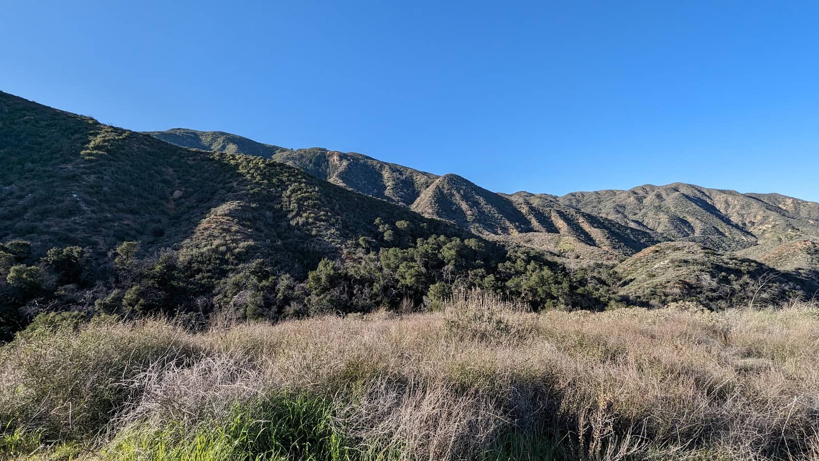 Connected Trail Network