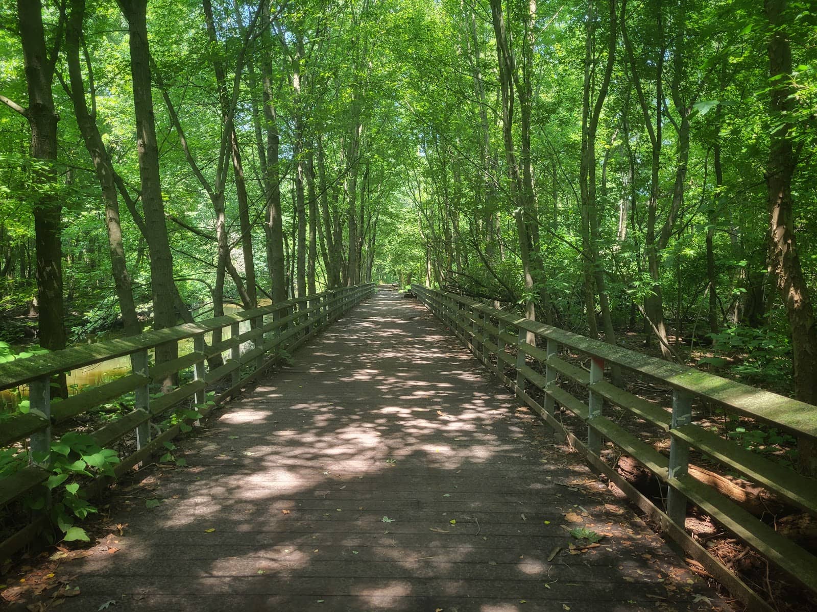 Waterfront Trails and Cascades
