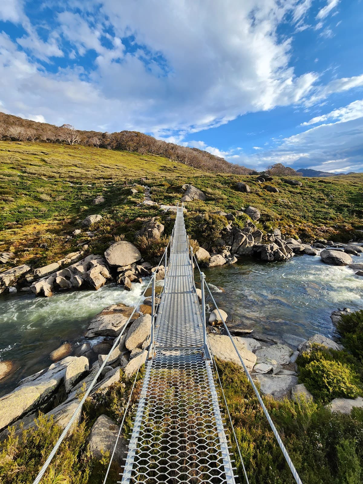 Illawong Suspension Bridge - Image 1